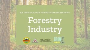 The front page of the "An Introduction to Southern Maryland's Forestry Industry" guide.